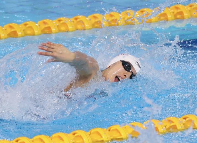 爱游戏平台-游泳争霸赛张雨霏100蝶夺冠 杨浚瑄打破亚洲纪录